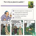 Planten: Wat is bij een plant de zaadlob?