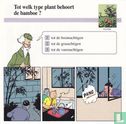 Planten: Tot welk type plant behoort de bamboe? - Image 1