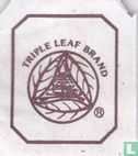 Eucommia Leaf Tea  - Image 3