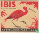 Ibis 