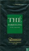 Thé Darjeeling Pure Origine - Bild 1