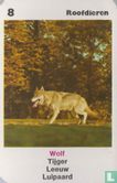 Wolf - Image 1