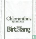 Chloranthus - Image 1