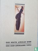 Our South African Birds + Ons Suid-Afrikaanse Voëls