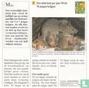 Wilde dieren: Hoeveel jongen kan een muis jaarlijks krijgen? - Image 2