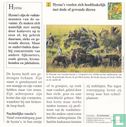 Wilde dieren: Waar voeden hyena's zich mee? - Afbeelding 2