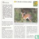 Wilde dieren: Hoe heet de kleinste antilope? - Image 2
