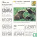 Zijn er nog bruine beren in West-Europa? - Bild 2