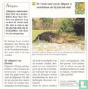 Wilde dieren: Wat is het verschil tussen een alligator en een krokodil? - Bild 2