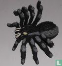 araignée - Image 1
