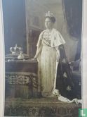 Wilhelmina - Met onbekende foto's van een markante Koningin