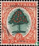 Orangenbaum (Afrikaans)  - Bild 1