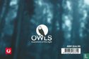 Owls - Image 2