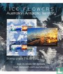Iceflowers - Image 2