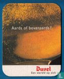 Aards of bovenaards ? / Spirit of Flanders - Afbeelding 2