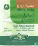 Linea Snella - Image 1