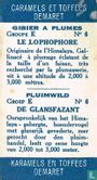 De glansfazant