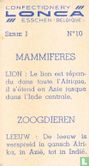 Leeuw - Bild 2
