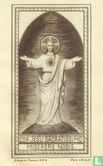 Cor Jesu sacratissimum miserere nobis - Image 1