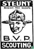 Steunt B.V.P. Scouting - Image 1