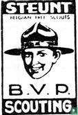 Steunt B.V.P. Scouting - Image 1