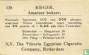 Rieger, Amateur bokser - Afbeelding 2