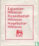 Eglantier-Hibiscus - Bild 1