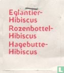 Eglantier-Hibiscus - Bild 3