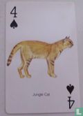 Jungle Cat - Image 1