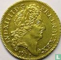 France 1 louis d'or 1711 (A) - Image 1