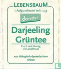 Darjeeling Grüntee - Afbeelding 1
