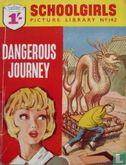 Dangerous Journey - Bild 1