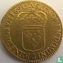 France 1 louis d'or 1690 (A) - Image 1