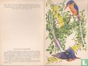 White-Tailed Kingfisher - Image 1
