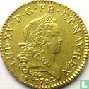 Frankrijk 1 louis d'or 1724 (L) - Afbeelding 1