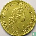 Frankrijk 1 louis d'or 1721 (A) - Afbeelding 1