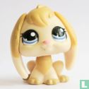 Rabbit   - Image 1
