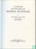 A Concise Dictionary of Middle Egyptian - Afbeelding 2