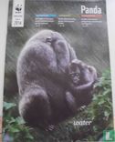 Panda 4 - Bild 1