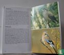 Complete natuurgids vogels - Image 3