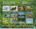 Kalender IFAW 2000 - Image 2