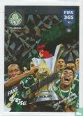 Palmeiras - Image 1