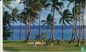 The Fijian Resort Hotel - Golf at The Fijian - Bild 1