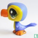 Toucan
