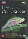 Life in Cold Blood - Afbeelding 1