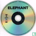 Elephant  - Image 3