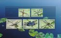 Dragonflies