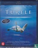 Turtle - The Incredible Journey - Image 1
