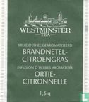 Brandnetel-Citroengras - Afbeelding 1