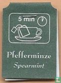 Pfefferminze Spearmint - Afbeelding 2
